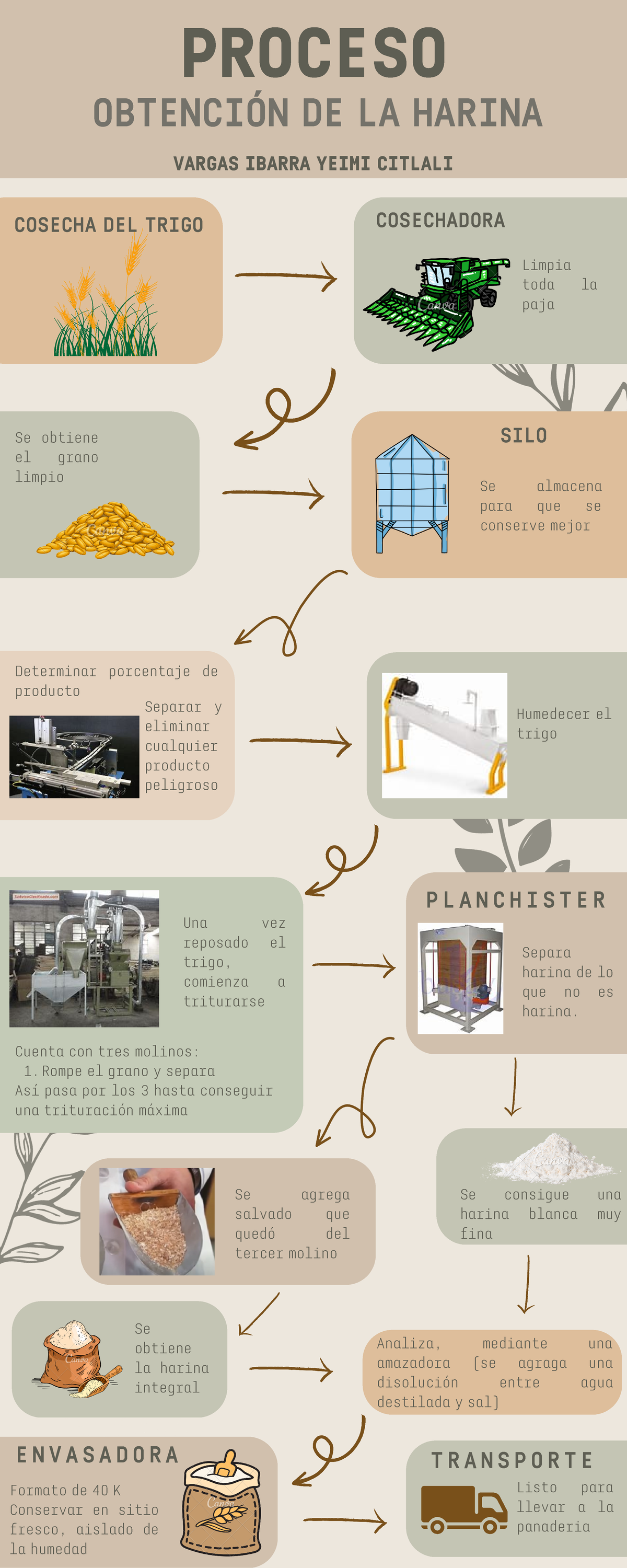 Proceso DE LA Obtención DE Harina - E N V A S A D O R A PROCESO