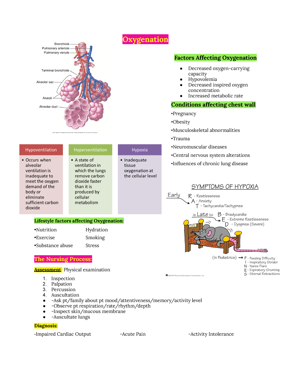 Oxygenation - Oxygenation Factors Affecting Oxygenation Decreased ...