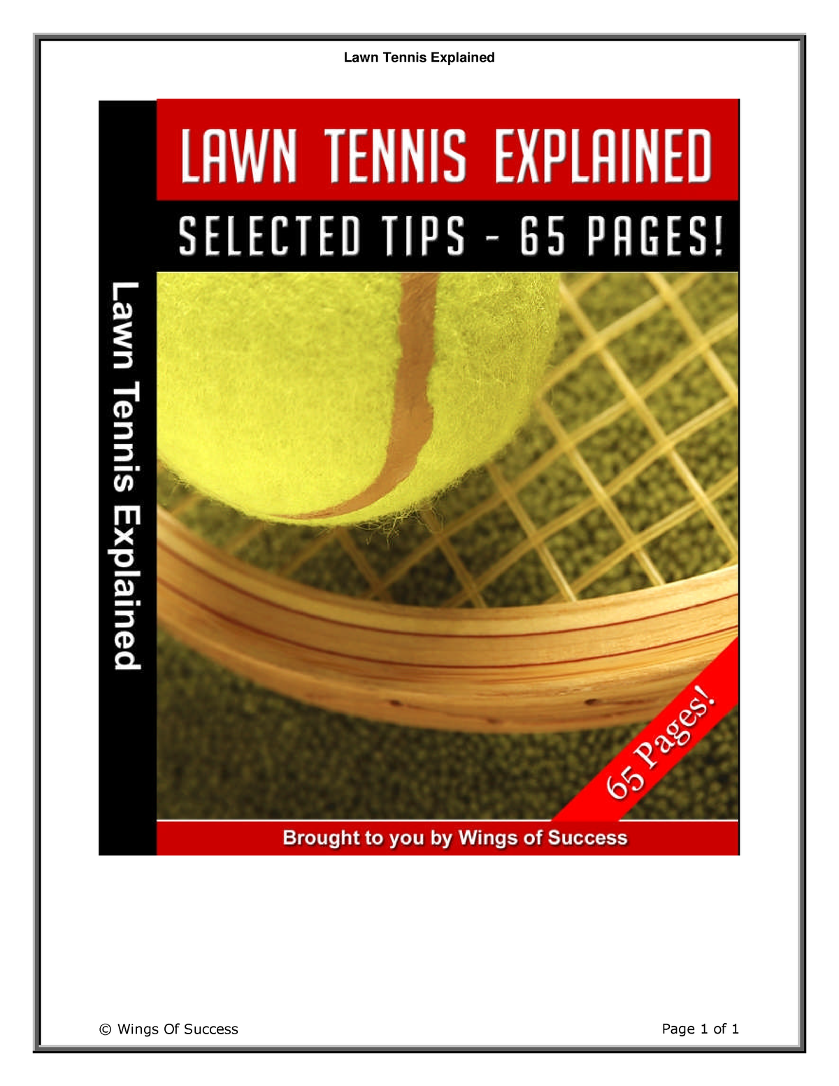 lawn-tennis-explained-disclaimer-and-terms-of-use-agreement-please-read-this-before-using