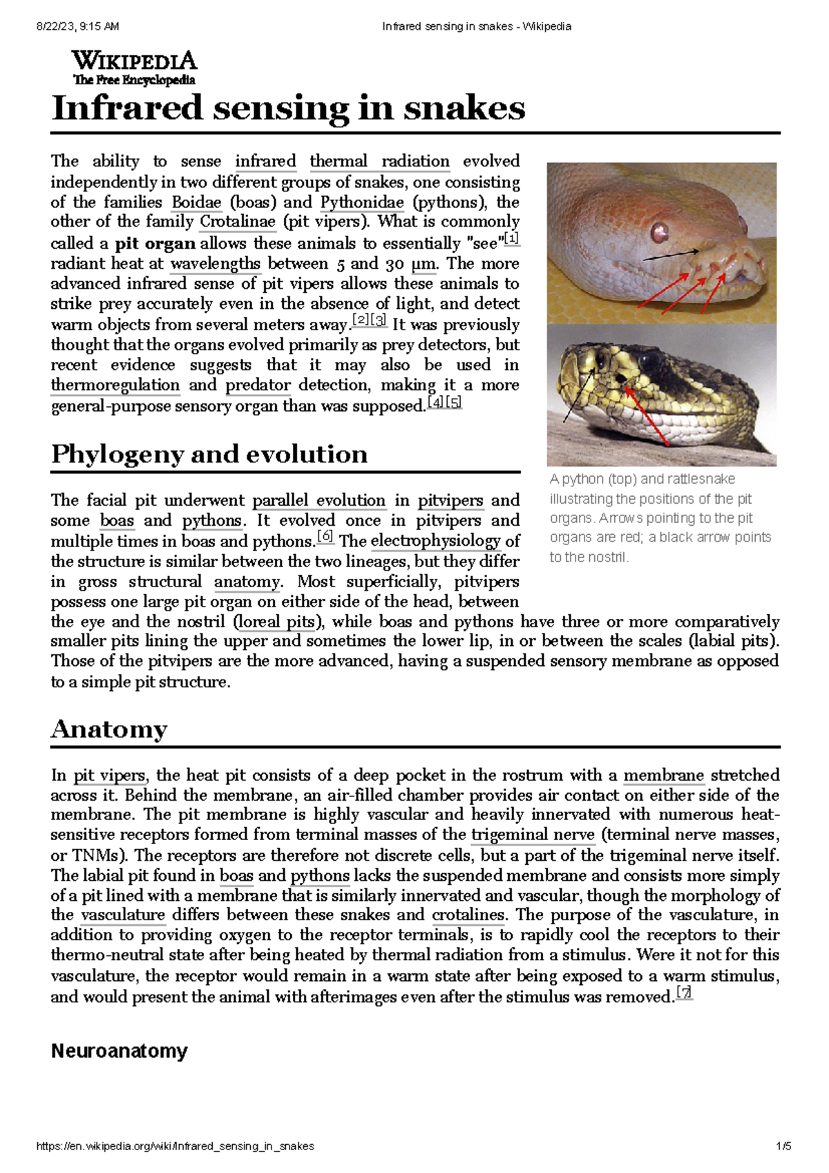 Infrared sensing in snakes - Wikipedia - SOCU2119 - RMIT University ...