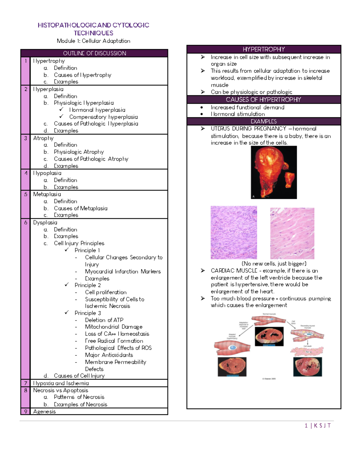 2 Histopath - Module 1 (CELL Adaptation) - HISTOPATHOLOGIC AND ...