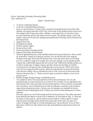 Exam 4 Study Notes - School: Penn State University (University Park ...