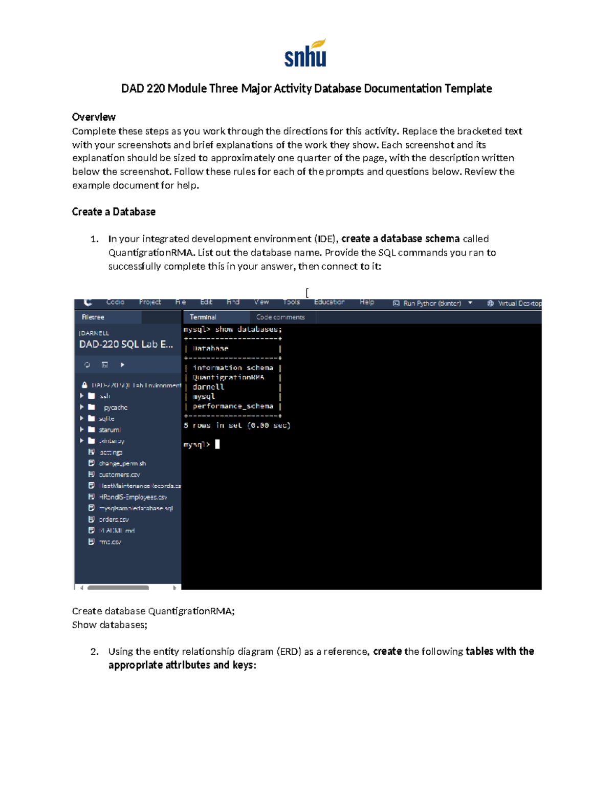 DAD 220 Module Three Major Activity Database Documentation Template ...