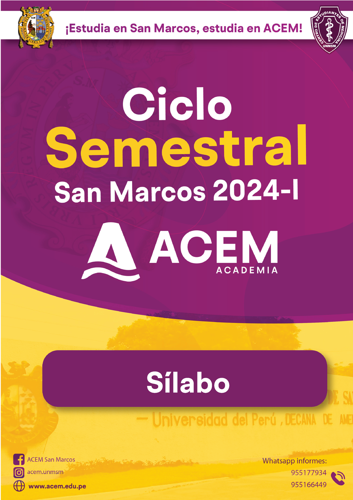 Silabo Semestral ACEM 2024-I (24 Temas)-2 - Sílabo ACEM 2024-I Sílabo ...