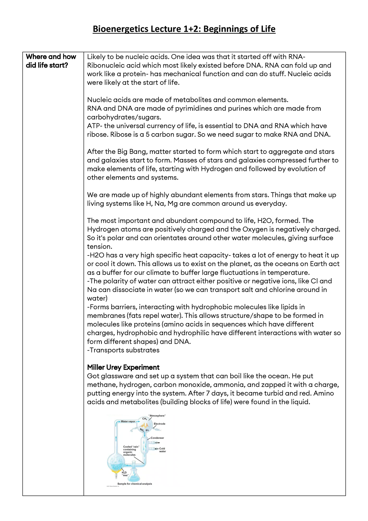 101 Bioenergetics - Bioenergetics Lecture 1+2: Beginnings Of Life Where ...