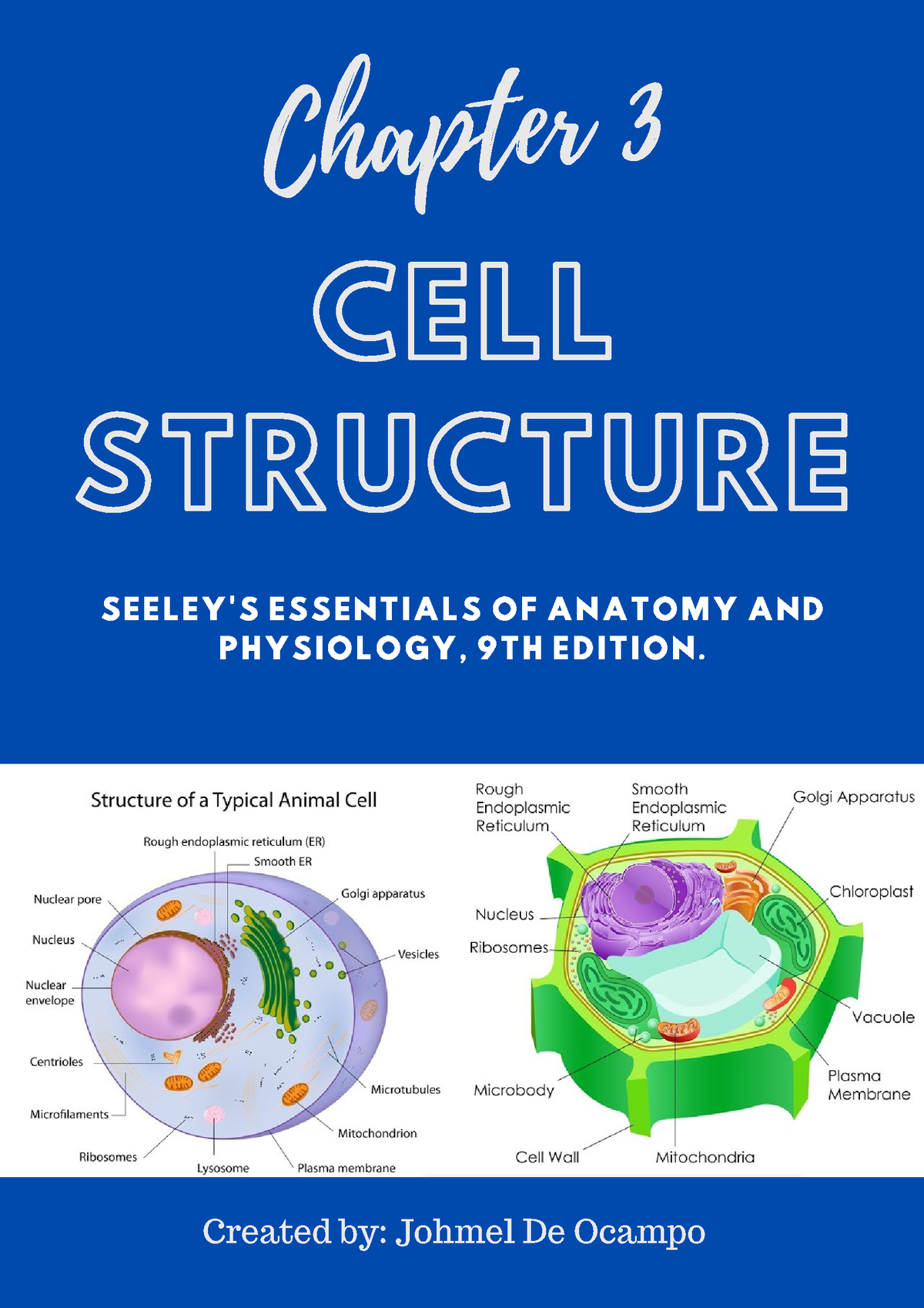 Anatomy Physiology (Chapter 3 Cell Structure) - CELL STRUCTURE Chapter ...