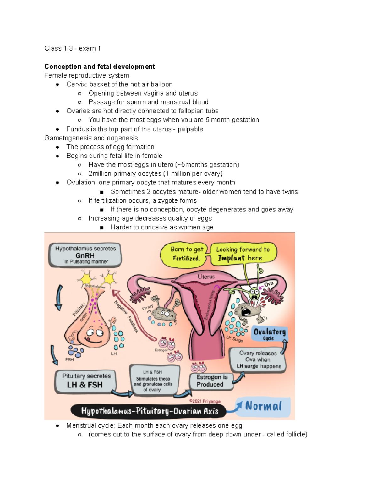 Maternity exam 1 study guide from lectures Class 13 exam 1