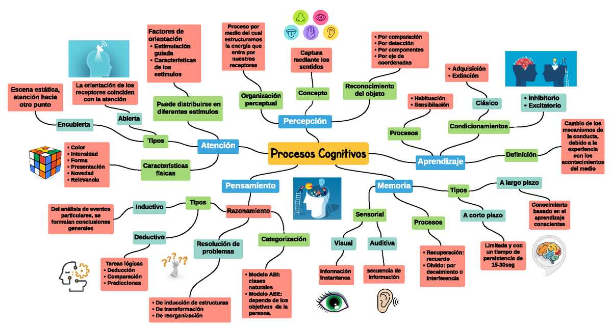 Mapa mental - Procesos cognitivos básicos - Procesos Cognitivos Atención  Percepción Aprendizaje - Studocu
