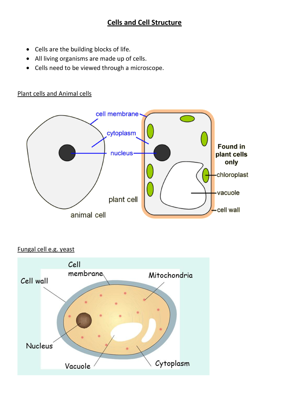 Cell biology - Cells and Cell Structure  Cells are the building blocks of  life.  All living - Studocu