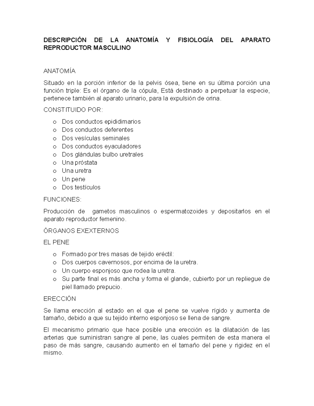 funcion del tejido erectil esponjoso