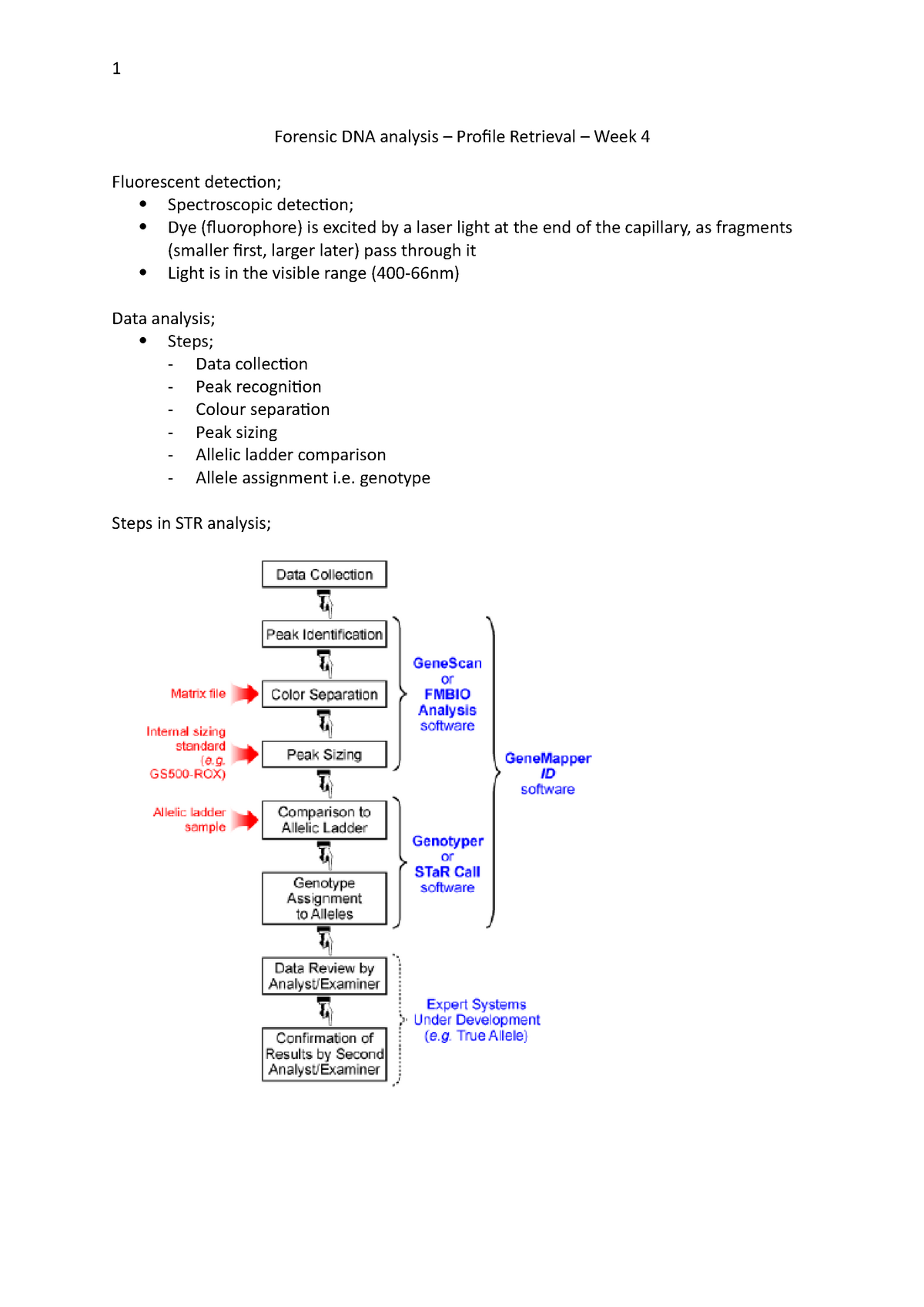 Forensic DNA Analysis - Lecture Notes 4 - Forensic DNA Analysis ...