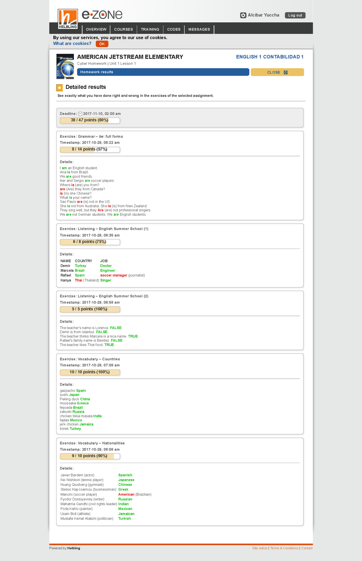 cyber homework english file