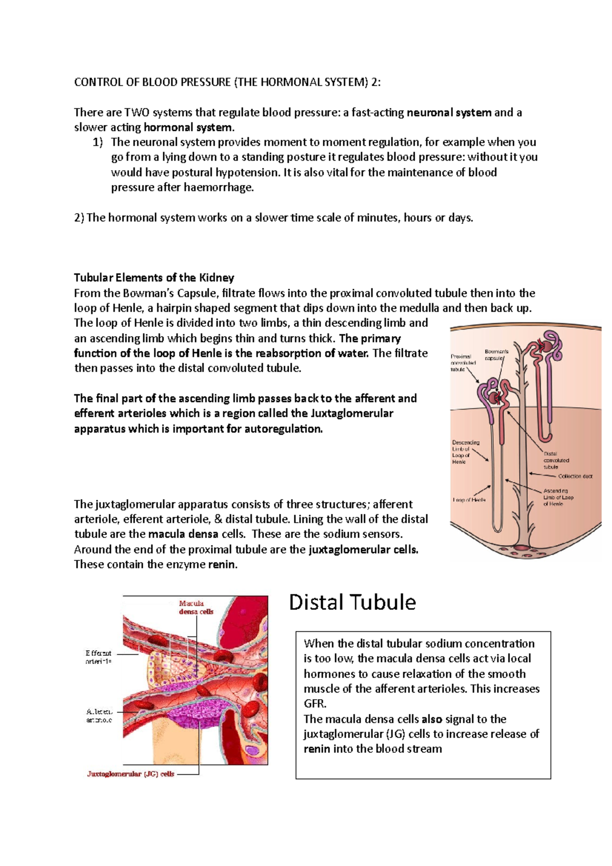 WEEK 14 Control OF Blood Pressure - CONTROL OF BLOOD PRESSURE (THE ...