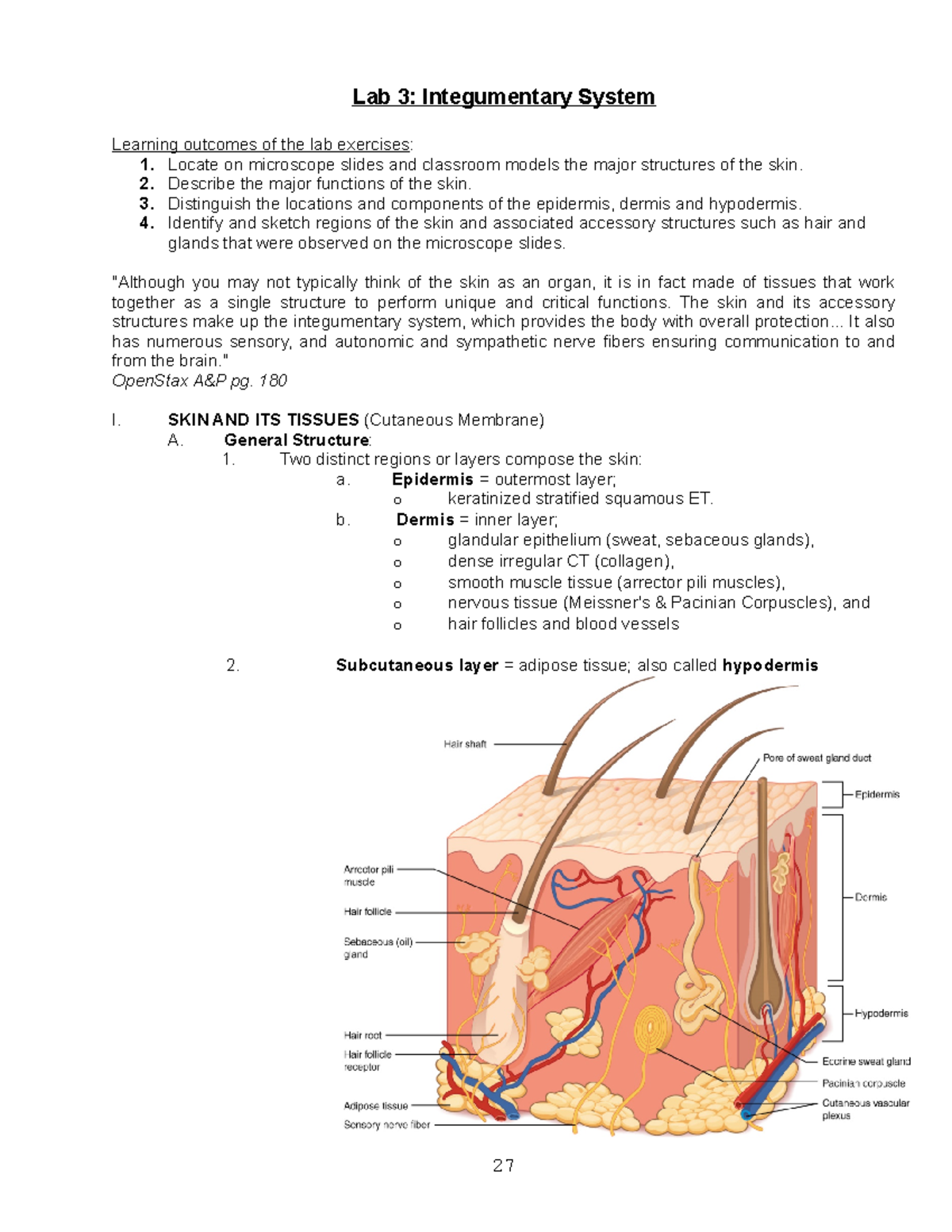 integumentary system project writing a clinical case study