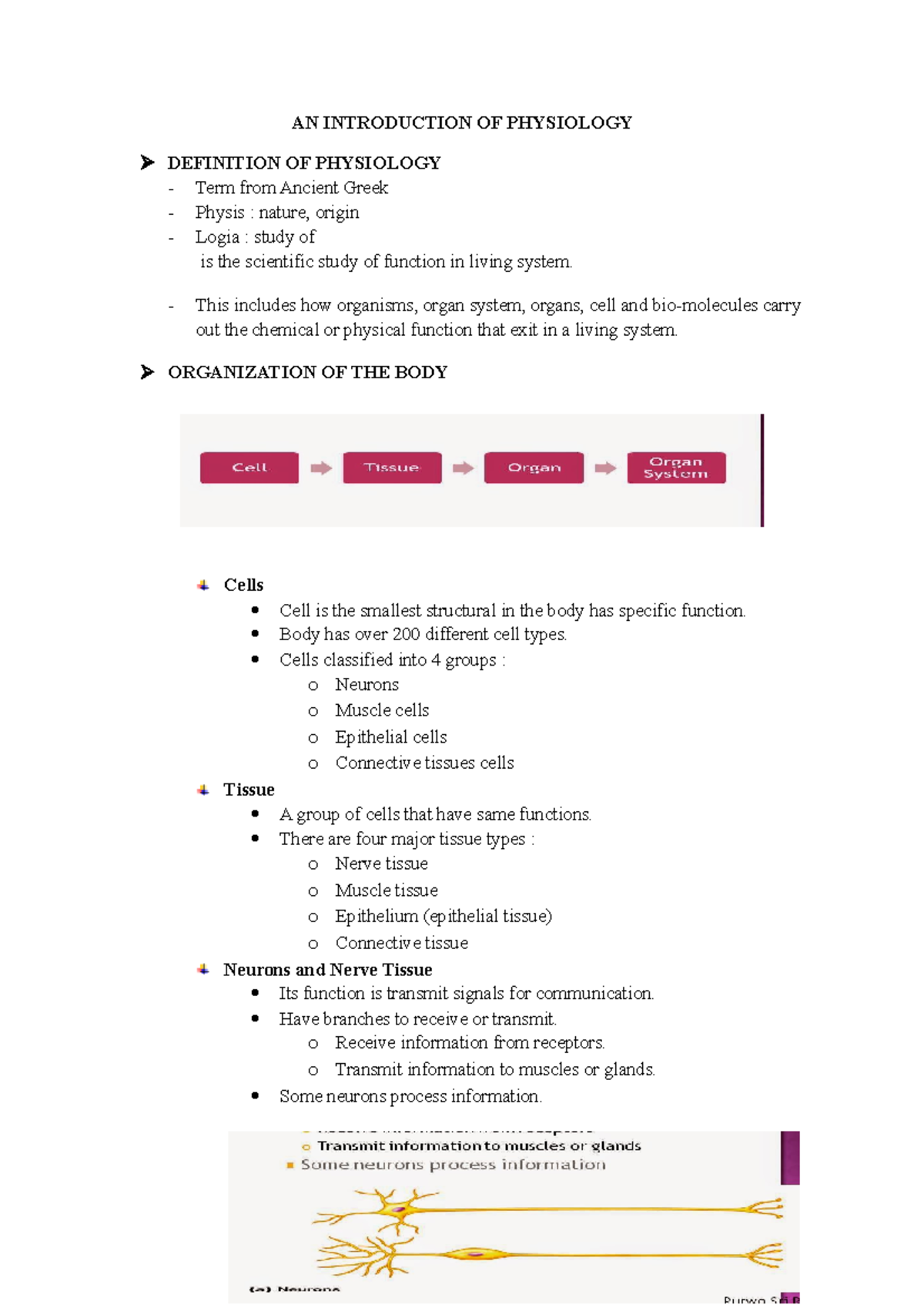 AN Introduction OF Physiology AN INTRODUCTION OF PHYSIOLOGY