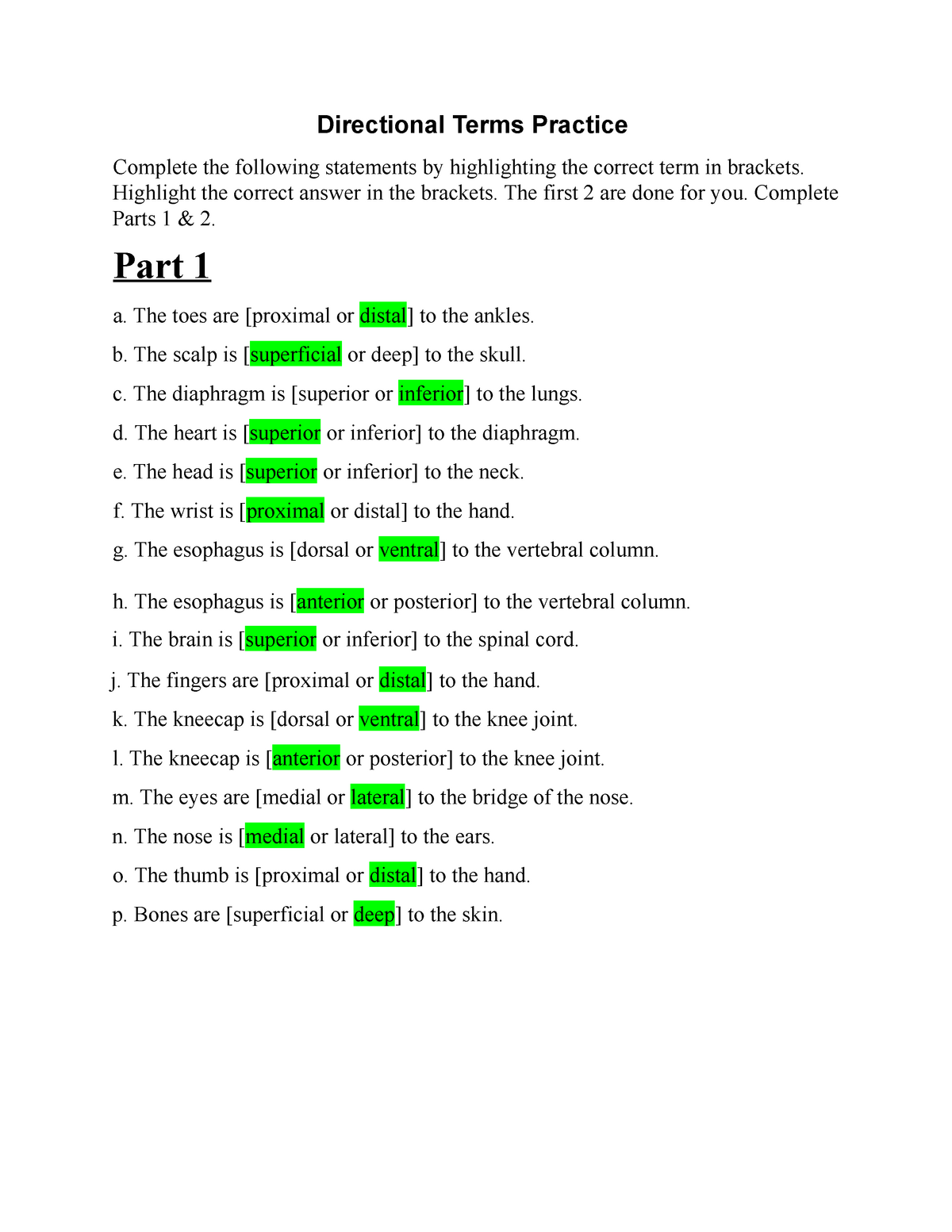 Directional Terminology Worksheet Answers