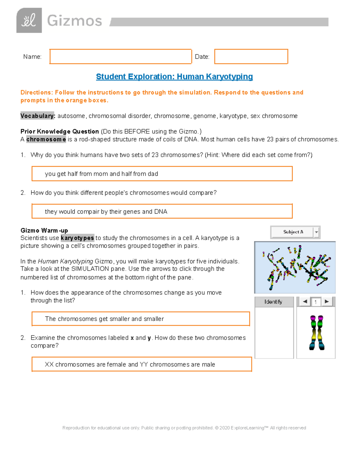 Gizmos Lab Human Karyotyping - Name: Date: Student Exploration: Human ...