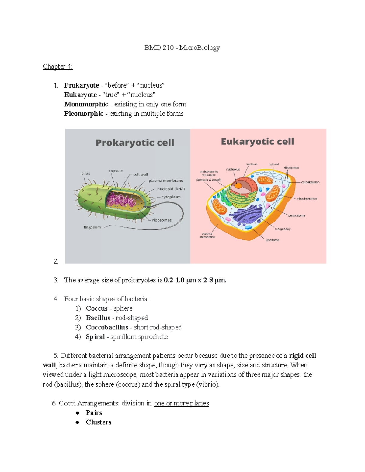 BMD 210 - Chapter 4 - Lecture notes and Exam Prep Questions - BLY 213 ...