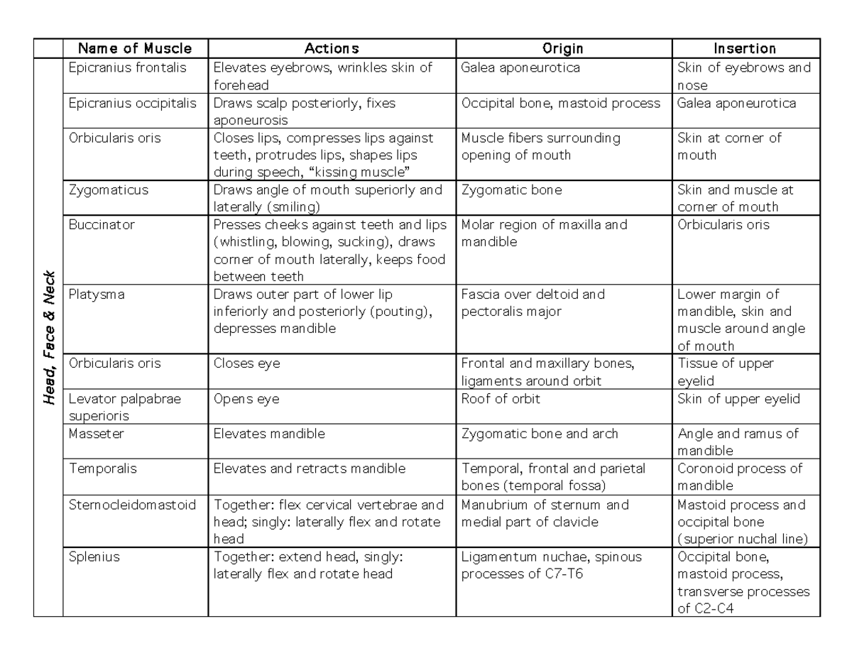 Muscle Table Chart - Name of Muscle Actions Origin Insertion He ad ...