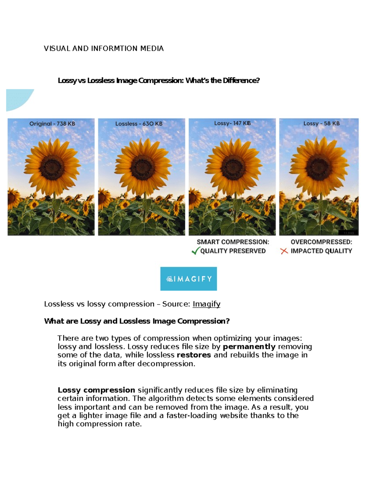 Visual-AND- Informtion- Mediaformats - VISUAL AND INFORMTION MEDIA ...