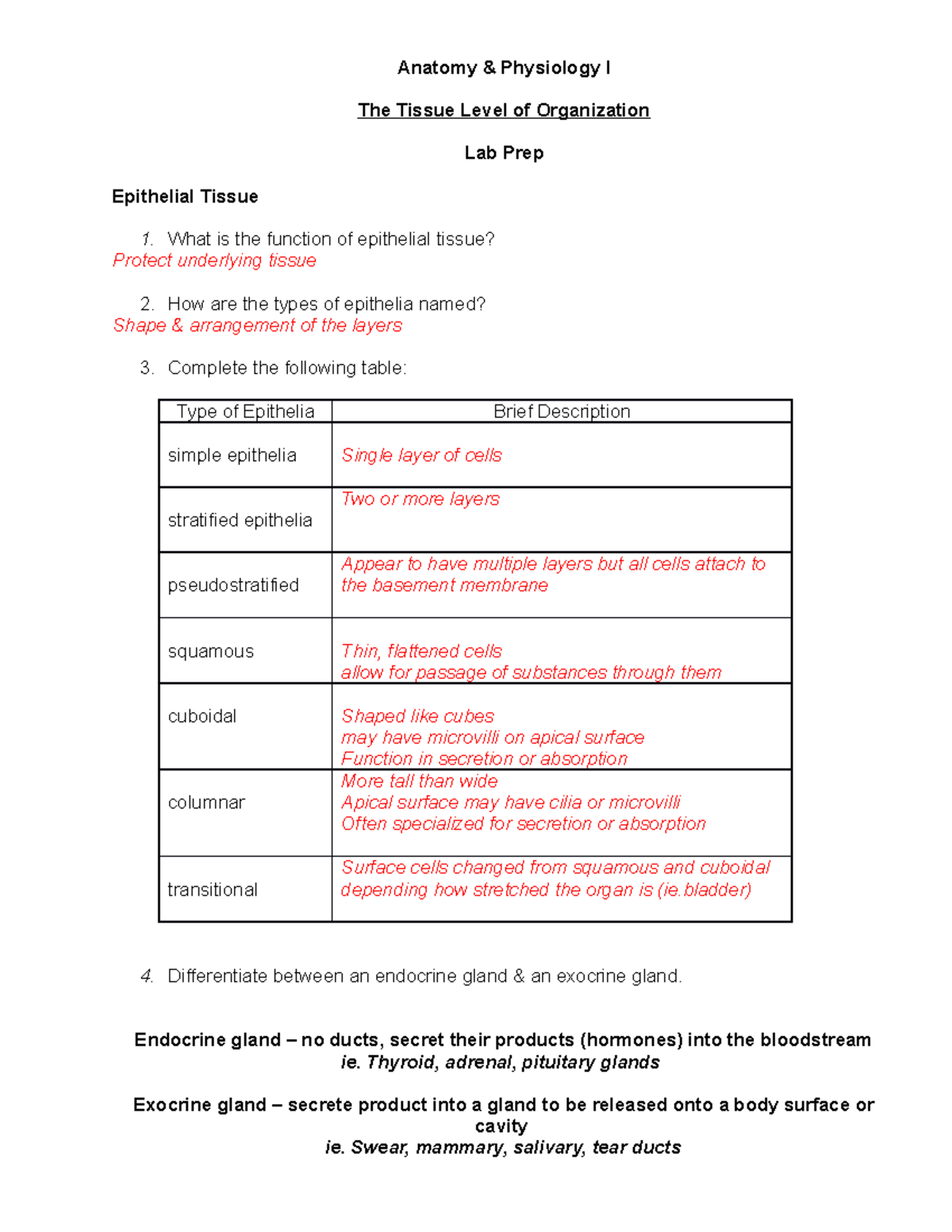 Week 4 Prep - Histology - teacher: Professor Patterson - Anatomy ...