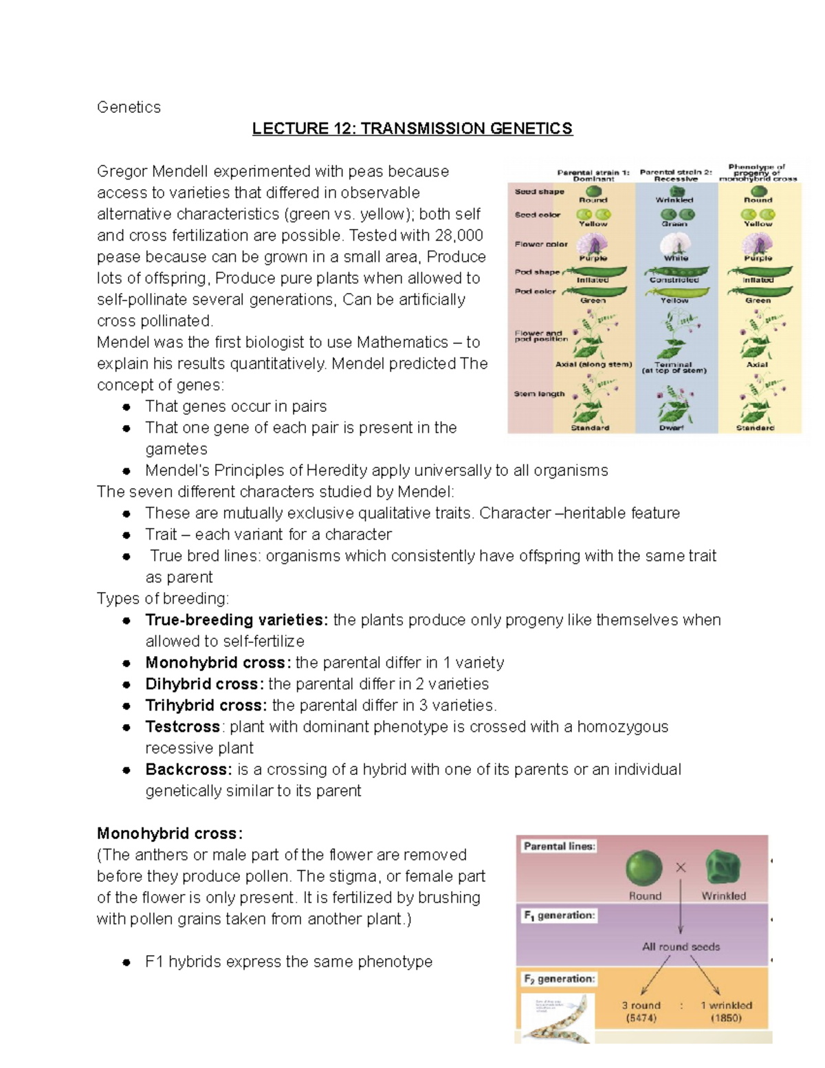 Lecture 12 Transmission LECTURE 12 TRANSMISSION
