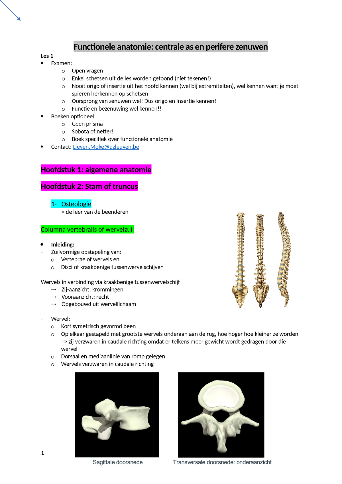 FA - Centrale As En Perifere Zenuwen - Functionele Anatomie: Centrale ...