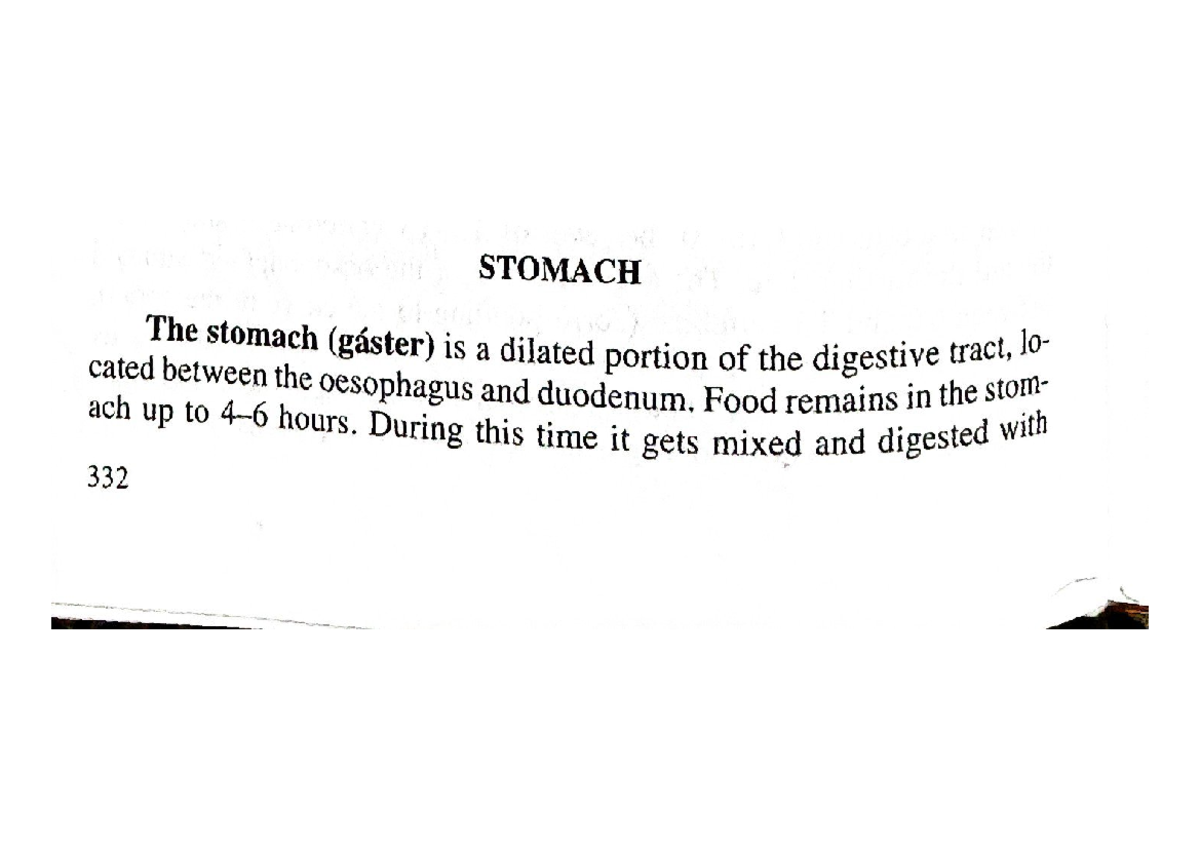 Stomach - Book - General medicine - Studocu