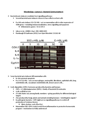 Microbiology – Lecture 2 – Bacterial Communication - 2 - Microbiology ...