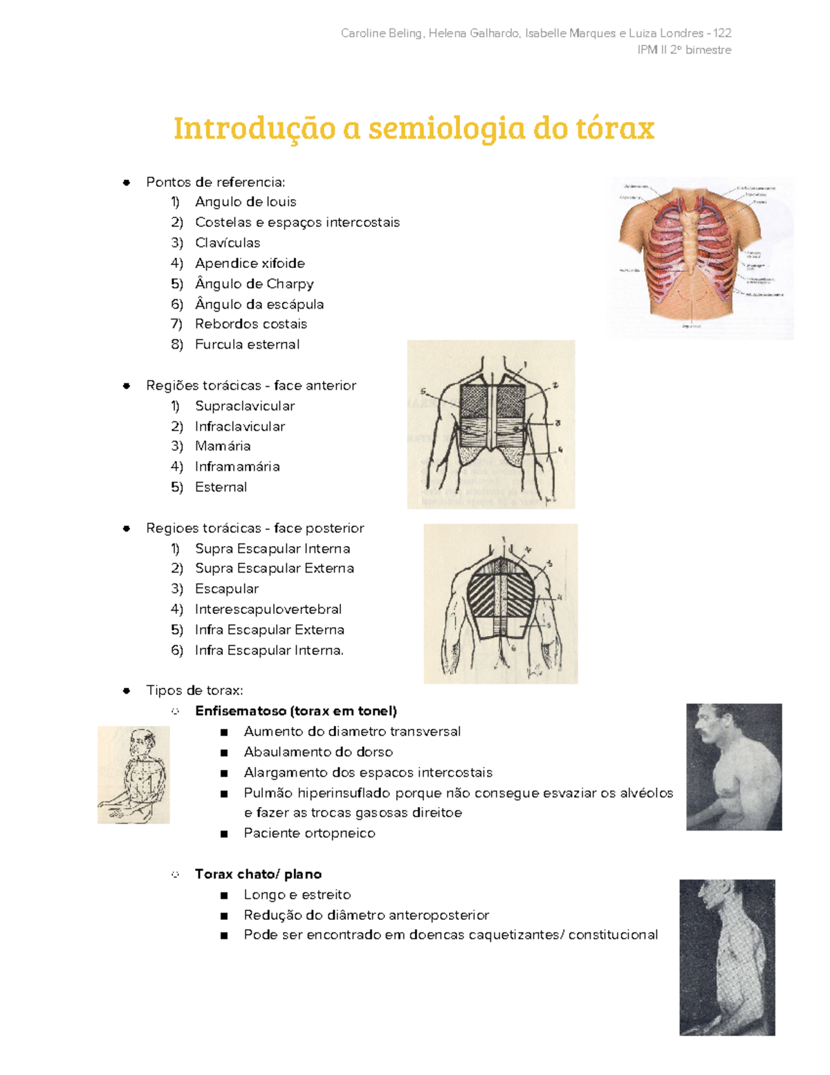 2 Introdução A Semiologia Do Tórax Ipm Ii 2º Bimestre Introdução A