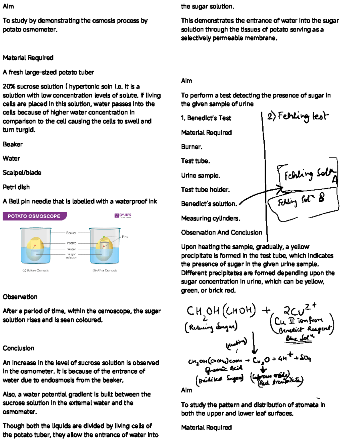 Bio practical Aim To study by demonstrating the osmosis process by