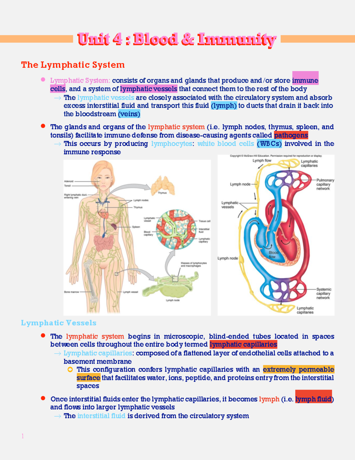 Unit 4 - Blood & Immunity - Unit 4 : Blood & Immunity The Lymphatic ...