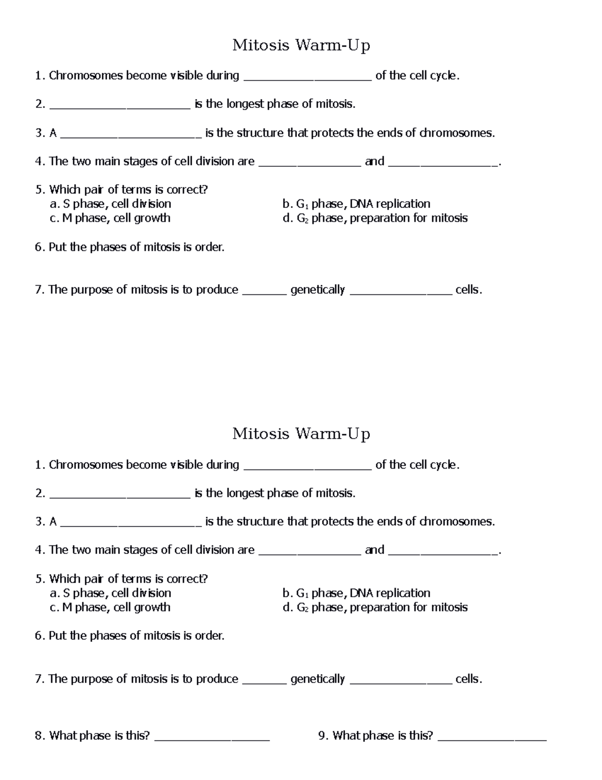 Mitosis warmup - Mitosis Warm-Up Chromosomes become visible during ...