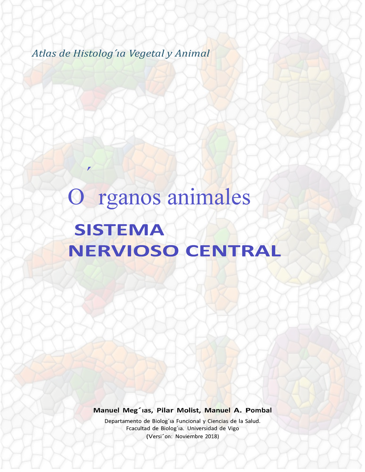 Sistema Nervioso Central - Atlas De Histolog ́ıa Vegetal Y Animal O ́ ...