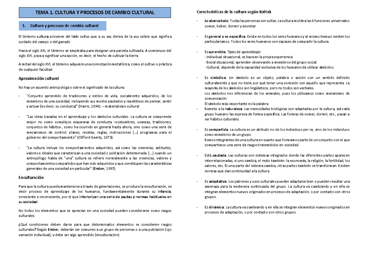 Resumen Tema 1. Cultura y procesos de cambio cultural - Patrimonio ...