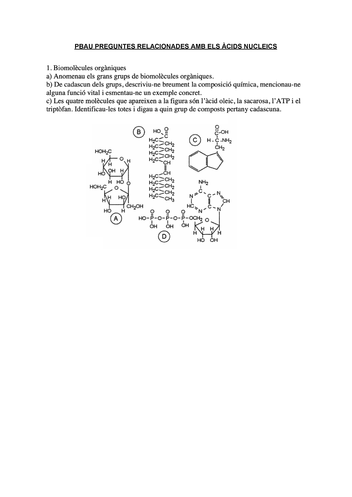 Àcids Nucleics SELECTIVITAT - Biología - PBAU PREGUNTES RELACIONADES ...