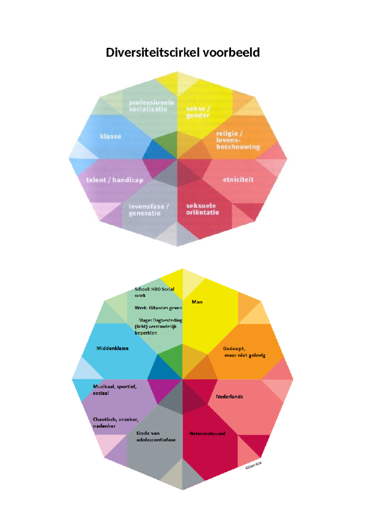 Diversiteitscirkel Oefening - Beroepsidentiteit - Diversiteitscirkel ...