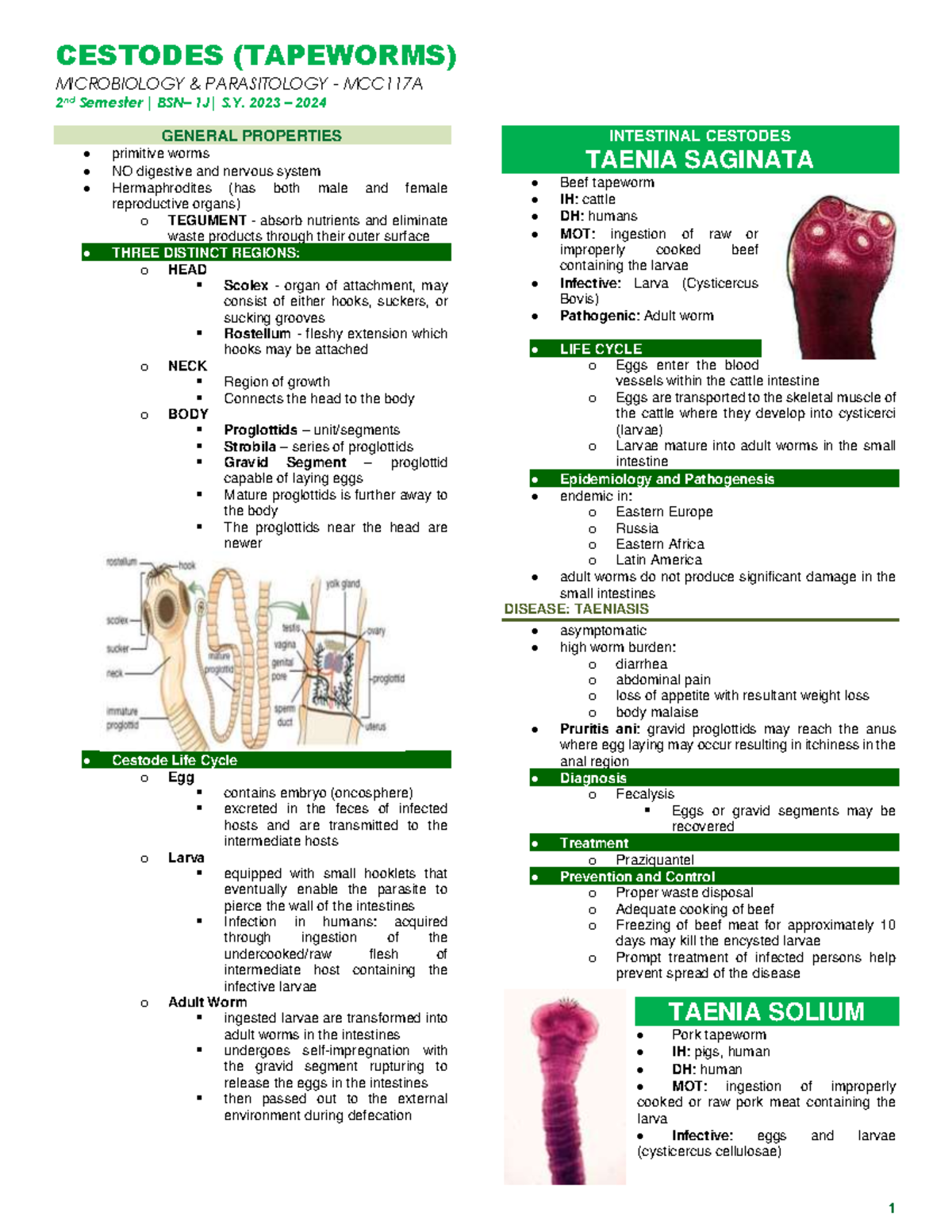 Micropara Cestodes - MICROBIOLOGY & PARASITOLOGY - MCC117A 2 nd ...