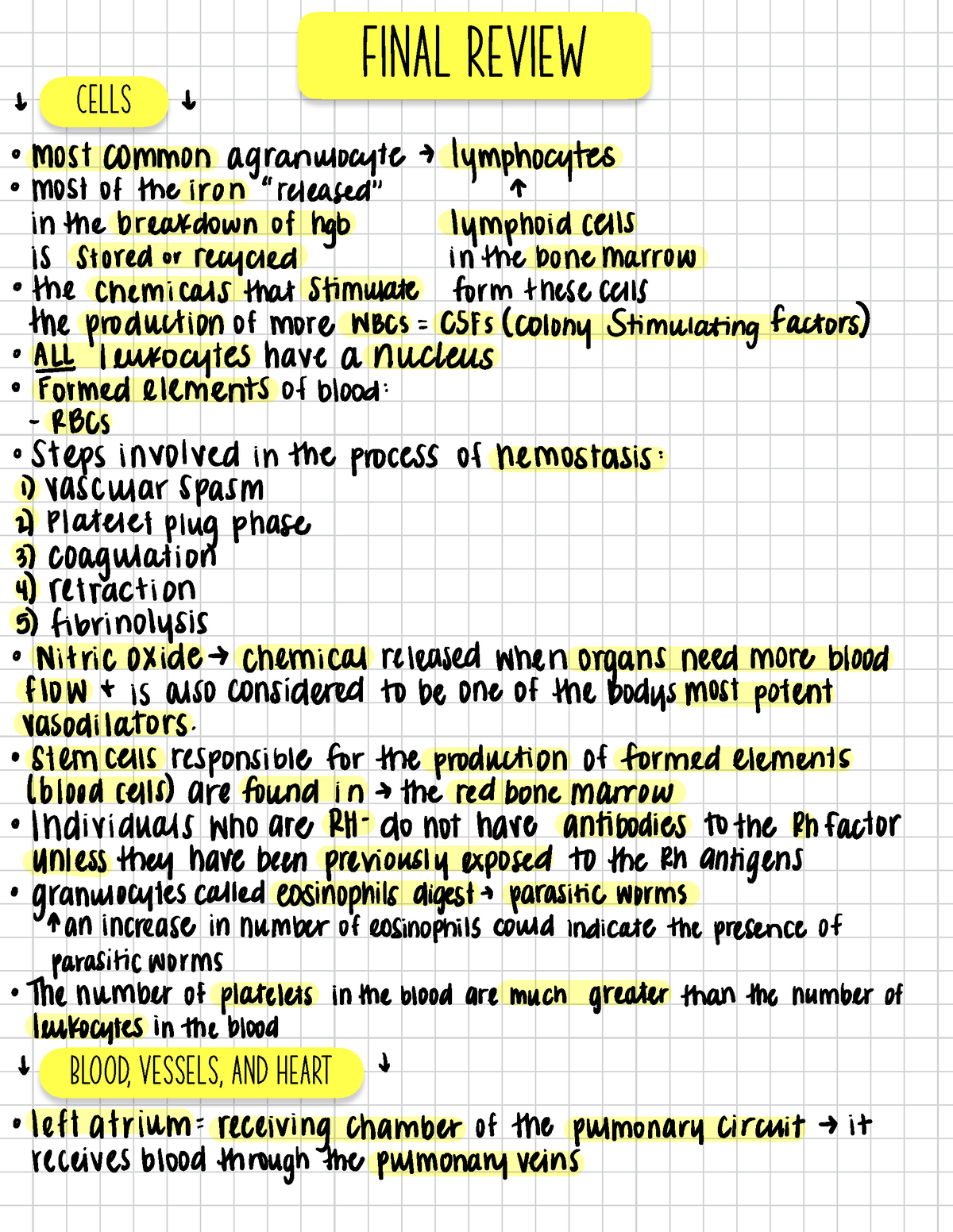 Final Review Notes - BIOL 2213K - Studocu