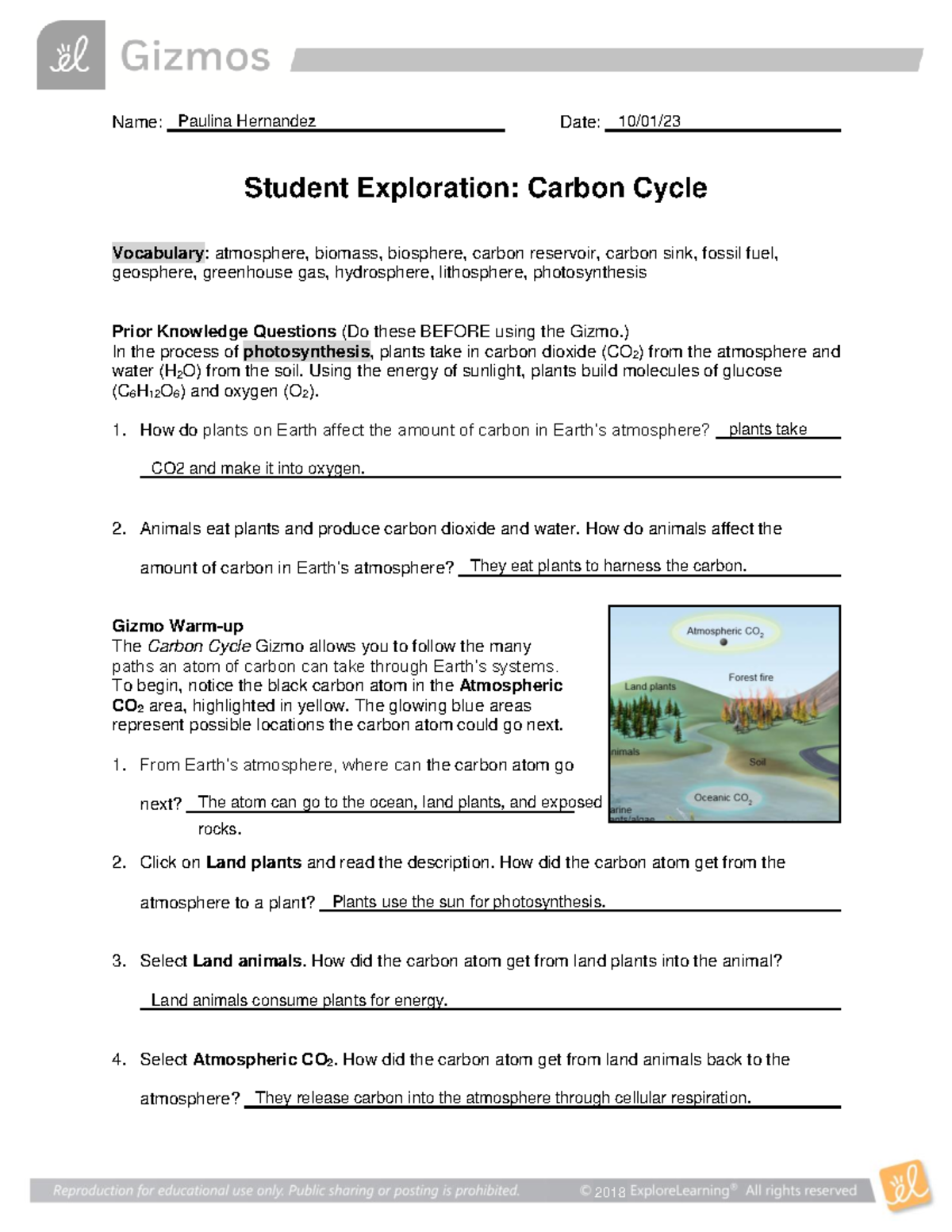 Carbon Cycle tarea - Idk - Name: Date: Student Exploration: Carbon ...