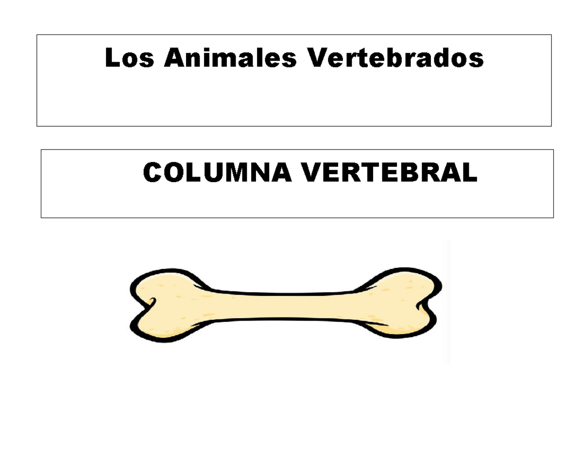 Animales vertebrads - sociales en america - Los Animales Vertebrados ...