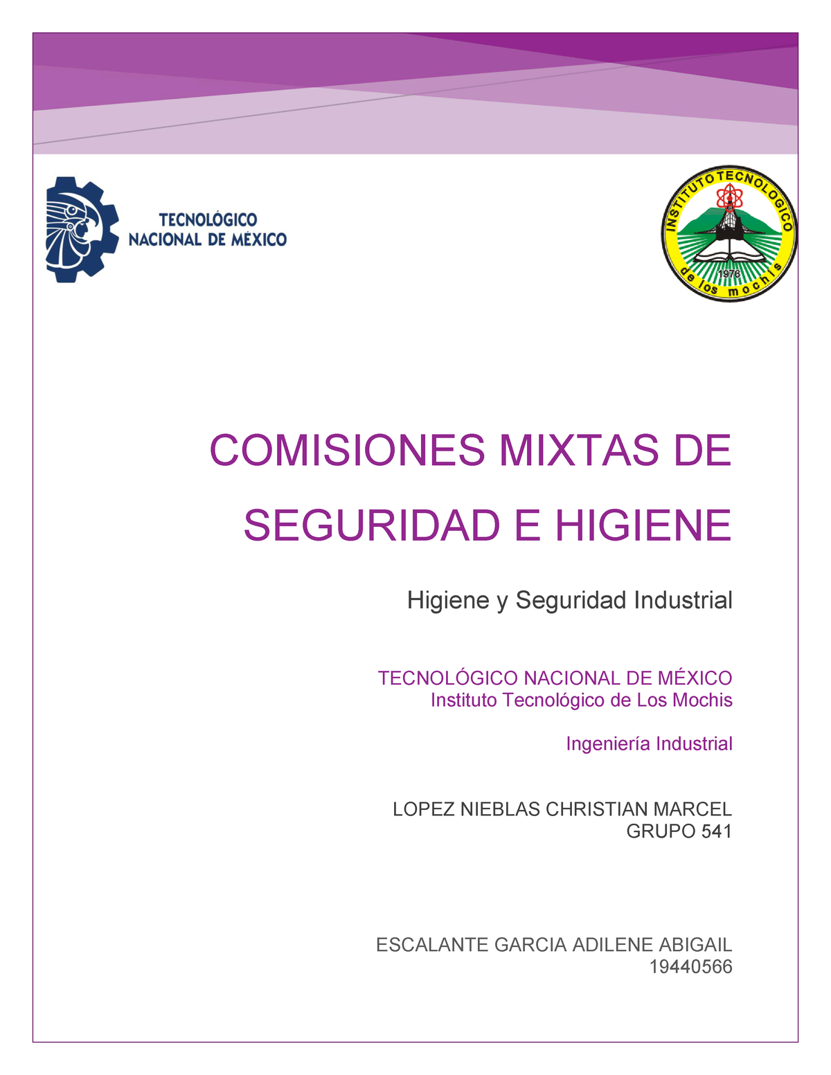 Comisiones Mixtas De Seguridad E Higiene Comisiones Mixtas De Seguridad E Higiene Higiene Y 7724