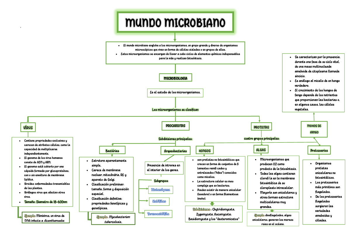 Tarea 1- Mundo Microbiano ( Bacteriologia) - , El mundo microbiano ...
