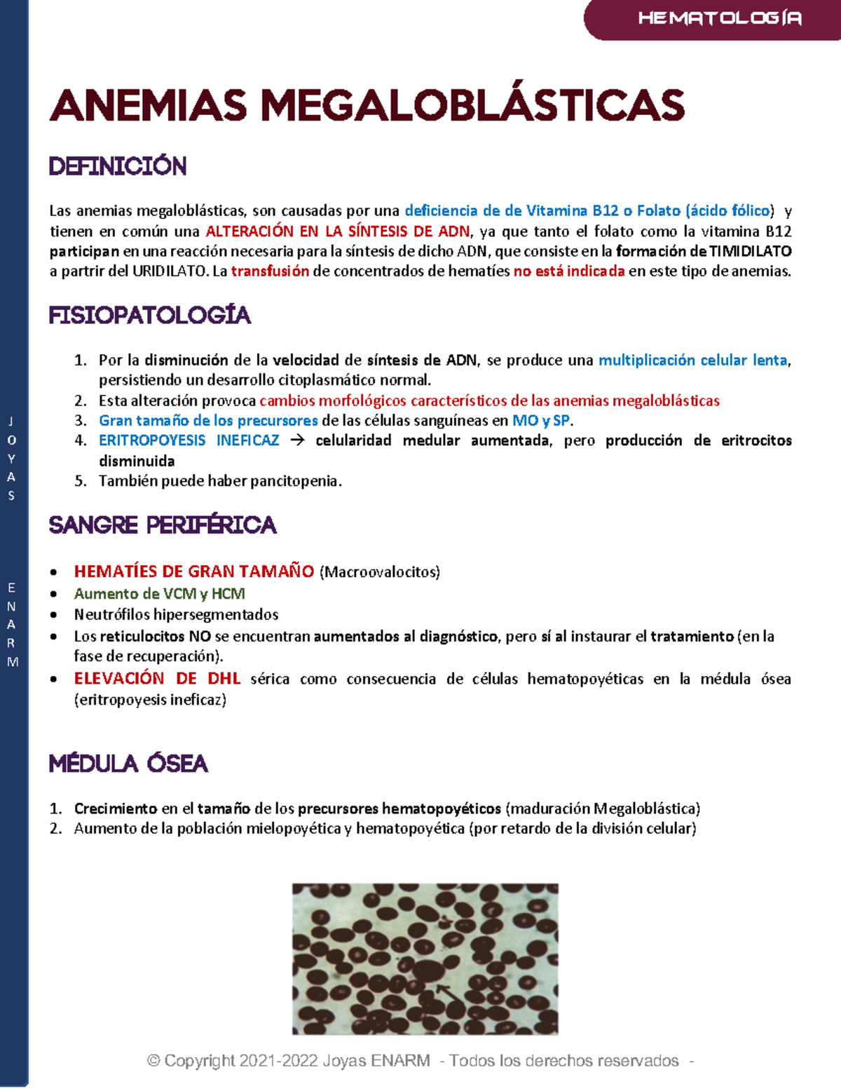 Anemias Megaloblásticas (Deficienica Ácido Fólico, Vitamina B12