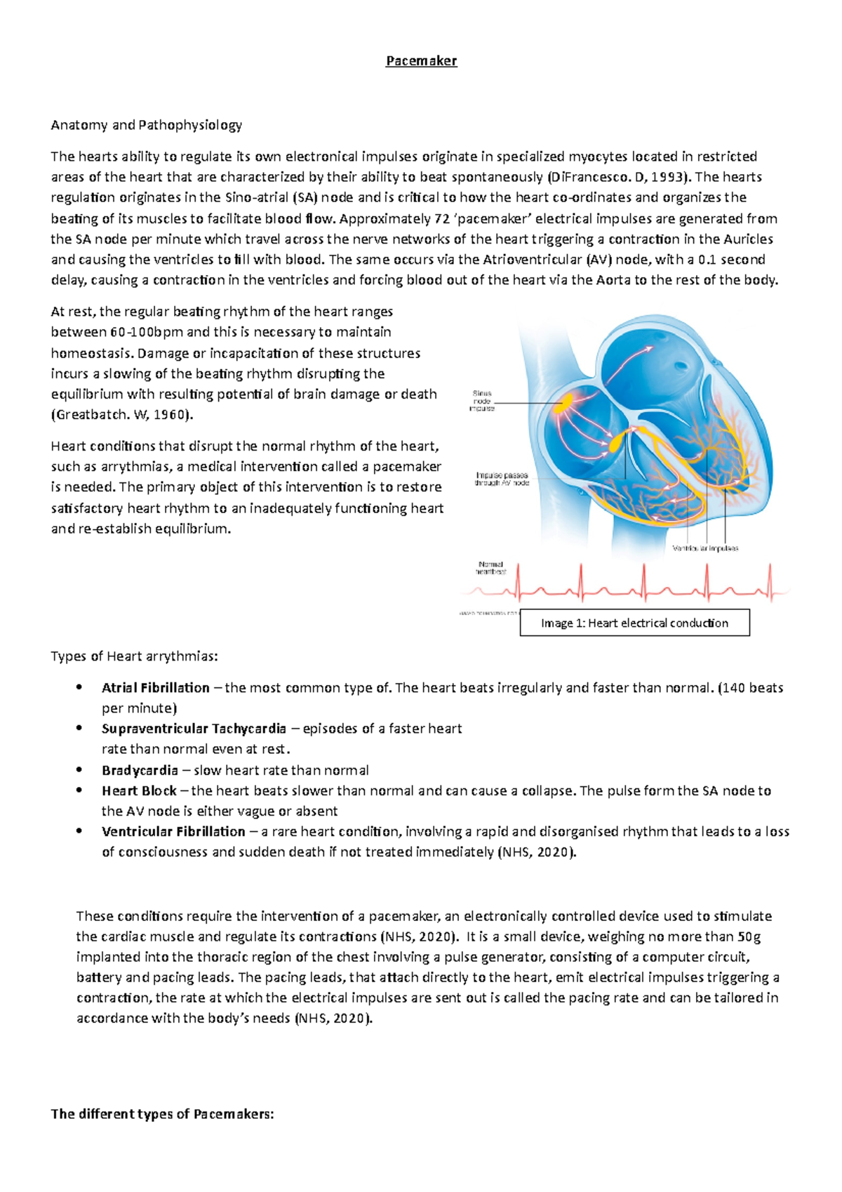 MCC- CVR- Pacemaker - Pacemaker Anatomy and Pathophysiology The hearts ...