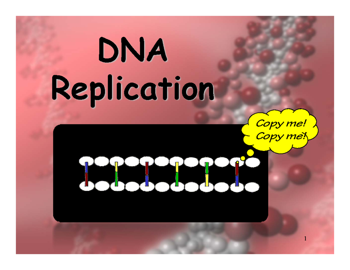 Notes dna replication - DNA Replication Copy me! Copy me! What is DNA ...