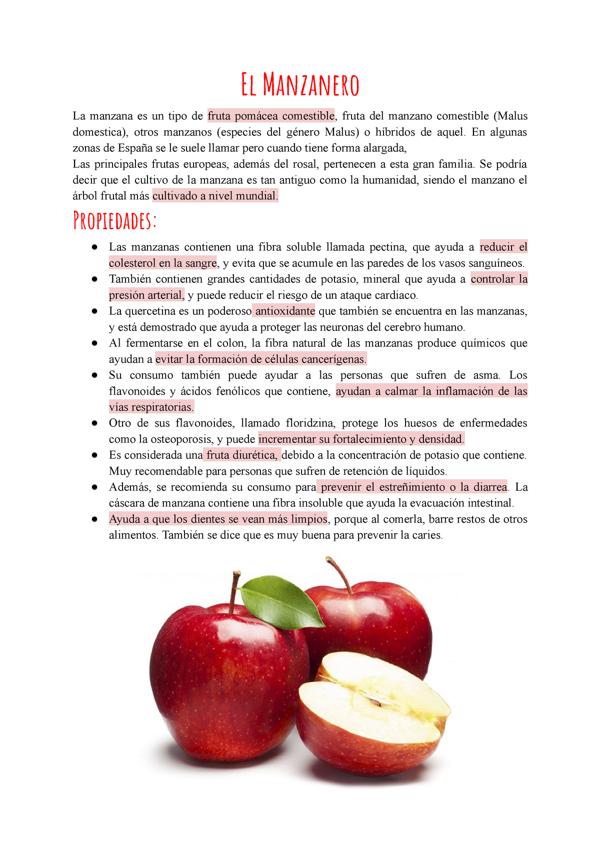 412327125 Nuevo Documento De Microsoft Word El Manzanero La Manzana Es Un Tipo De Fruta