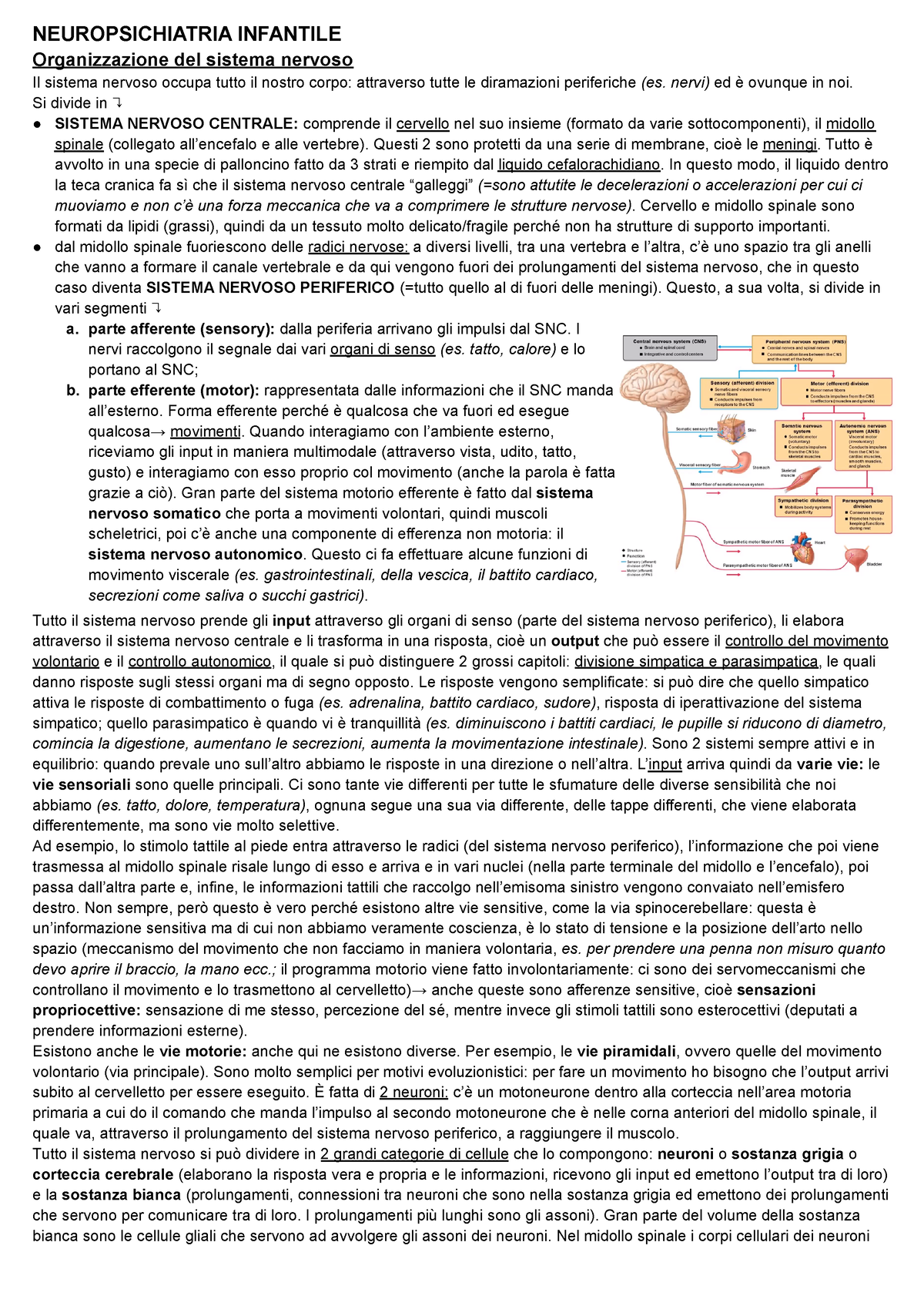 Neuropsichiatria Infantile - NEUROPSICHIATRIA INFANTILE Organizzazione ...