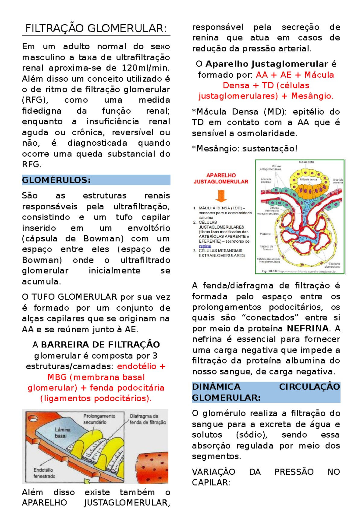 Ritmo De Filtração Glomerular Baixo – DXJFW
