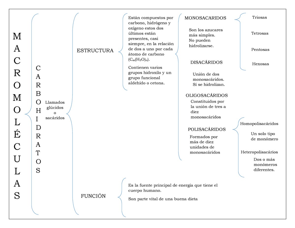 Cuadro sinoptico de macromoleculas - Warning: TT: undefined function: 32 M  A C R O M O L É C U L A S - Studocu